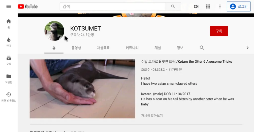puffin-TV-youtube